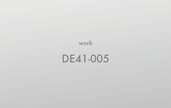 DE41-005