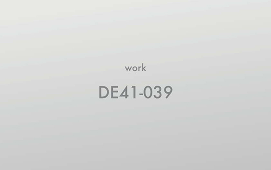 DE41-039